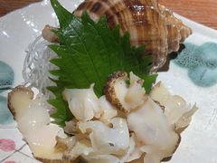 -桂马·日本料理·海胆·海鲜饭·酒场(民主广场店)