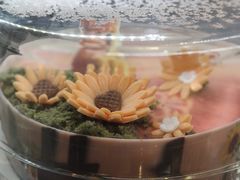 -哈根达斯(深圳海岸城店)