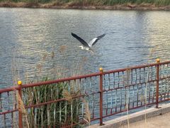 -竹林寺旅游风景区