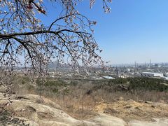 -白水寺森林公园