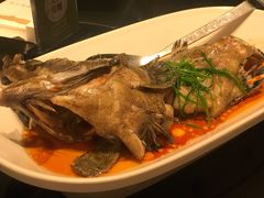 清蒸石斑-徐记海鲜·宴会(大唐西市|丰庆店)