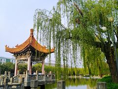 -咸阳湖景区-古渡公园