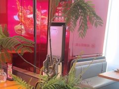 -老板恋上鱼(恒隆广场店)