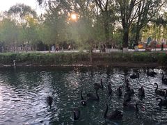 -长白岛森林公园