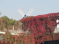 -南翠屏公园
