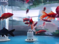 -海岛渔村大酒店(云霄路店)