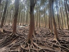 -含鄱口