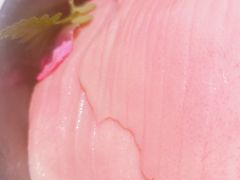 -宽来·欢聚火锅(来福士广场水景店)