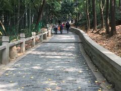 -灵岩山风景区