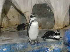 -太平洋海底世界