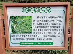 -大屏嶂森林公园