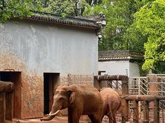 -杭州动物园