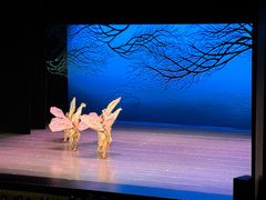 -交通银行前滩31演艺中心