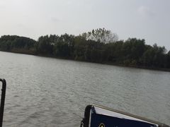 -溱湖国家湿地公园