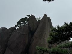 -黄山风景区