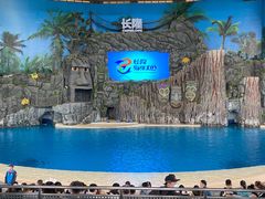 -珠海长隆海洋王国