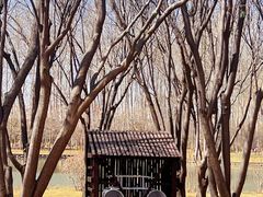-仁和公园(顺义区)
