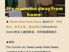 -引领英语·成人口语·雅思托福