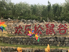 -欢乐松鼠谷