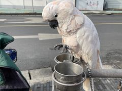-四海楼(如皋定慧禅寺店)