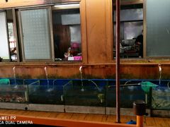 水产区-蓝湾碧波·老字号·疍家非遗海上餐厅