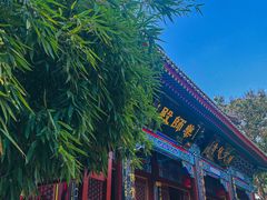 -天津市峰山药王古寺