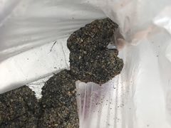 -叶氏麻糍(鼓浪屿店)
