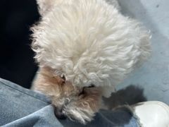 -何兮花店·气球派对鲜花店(马桥银春路万科城店)