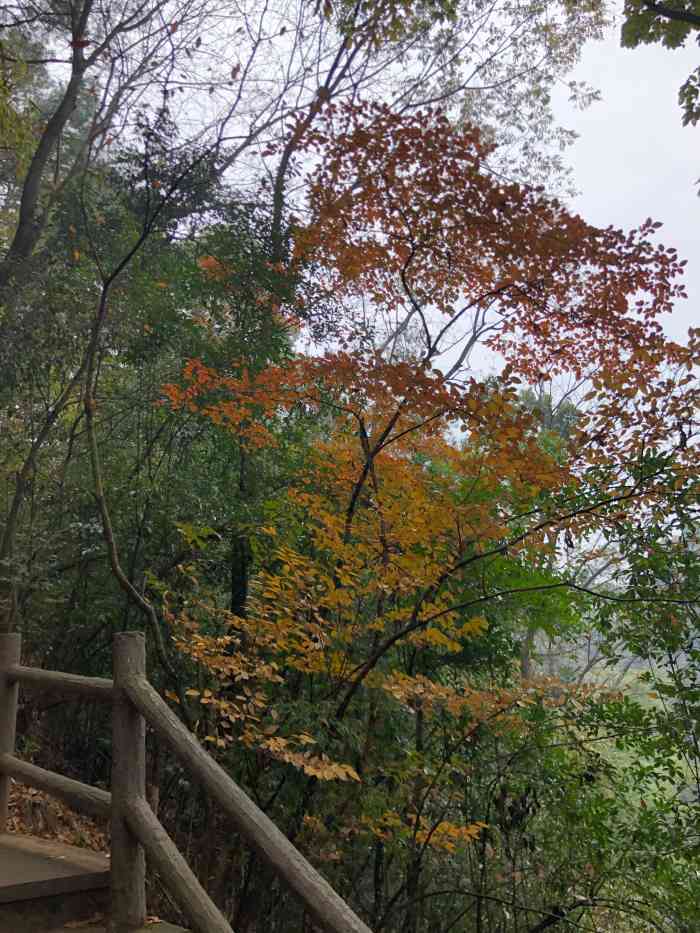 戴震公园-""热爱江南鱼米乡,屯溪古镇更情长.小华山."-大众点评移动版