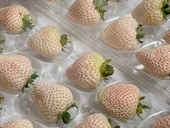 -山姆会员商店(杨桥西路店)