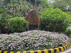 -广州市白云山风景名胜区