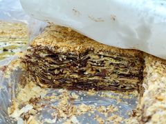 巧克力拿破仑-爱德顺糕点食屋(利民道店)