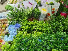 -循礼门鲜花花市(武汉循礼门店)