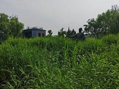 -郭守敬纪念馆