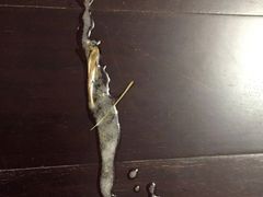 -FAELING PETS美天灵宠物(富力广场店)