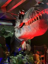 -恐龙探索乐园(磁器口店)