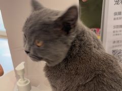 -艾贝尔宠物医院 ·中兽医·宠保定点(北门桥店)