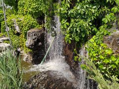 -武清南湖绿博园