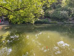 -惠山古镇·寄畅园