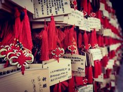 -峨眉山报国寺