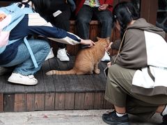 -北京国子监胡同