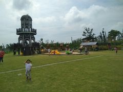 -上海长兴岛郊野公园