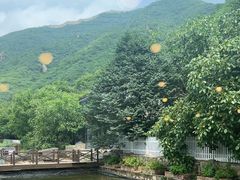 -荷塘味道(水长城店)