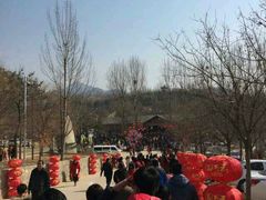 -沂蒙云瀑洞天景区