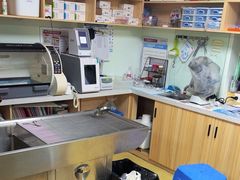 -格蕾宠物医院24H·猫科·肿瘤科·骨科中心(福州总院)