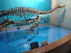 -自贡恐龙博物馆