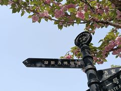 -中山公园