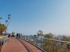 -板樟山森林公园