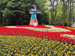 -上海共青森林公园