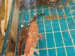 -新丁香海鲜酒店(银海商贸城店)